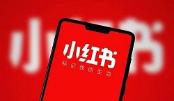 小紅書運(yùn)營(yíng)方案